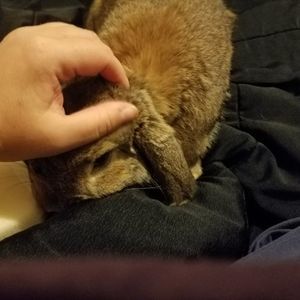 Meet your Posher, Traci